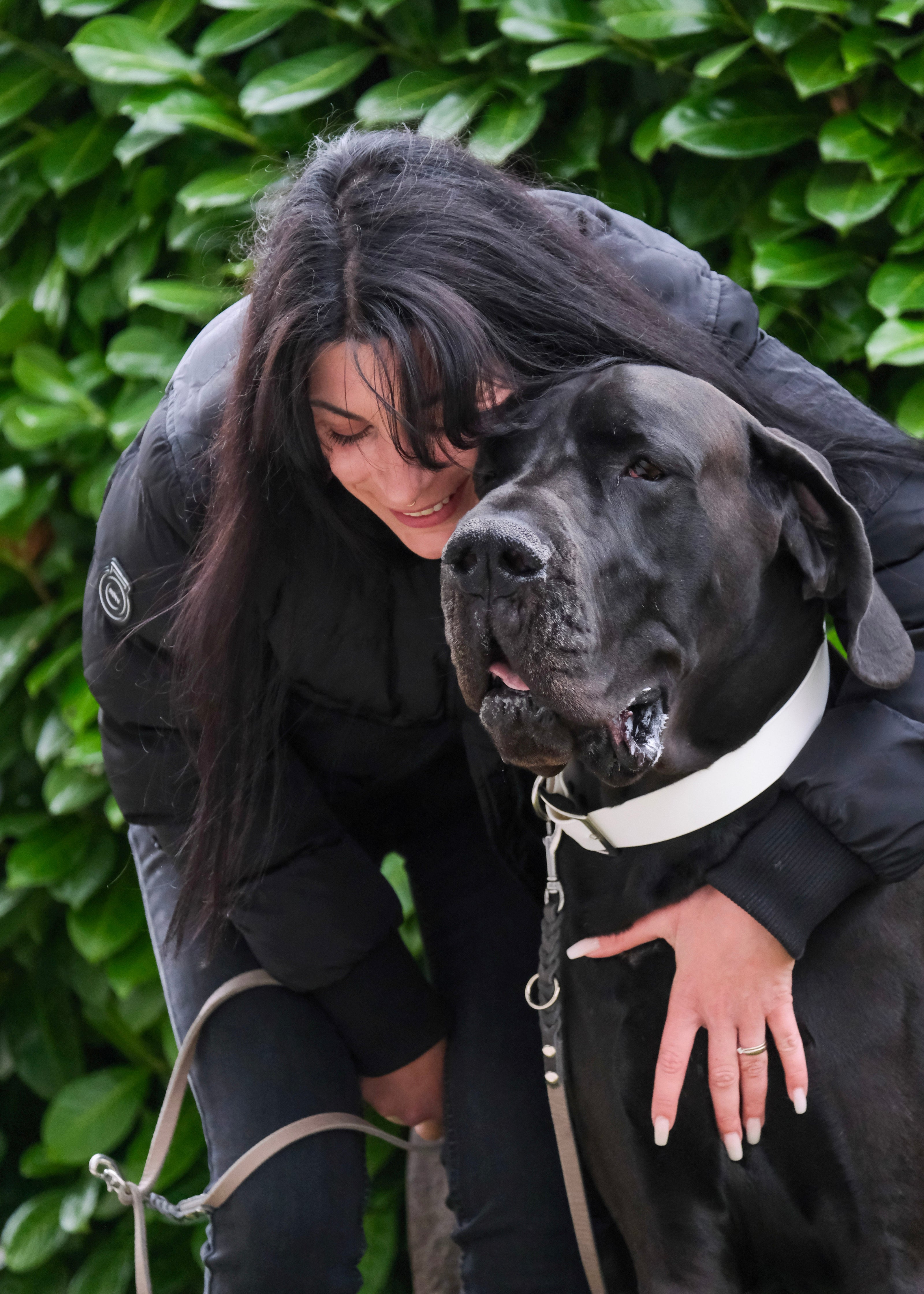 Schwarze Dogge trägt handgemachtes Hundehalsband und Leine aus Leder – stilvolles Hundezubehör von THENSKI