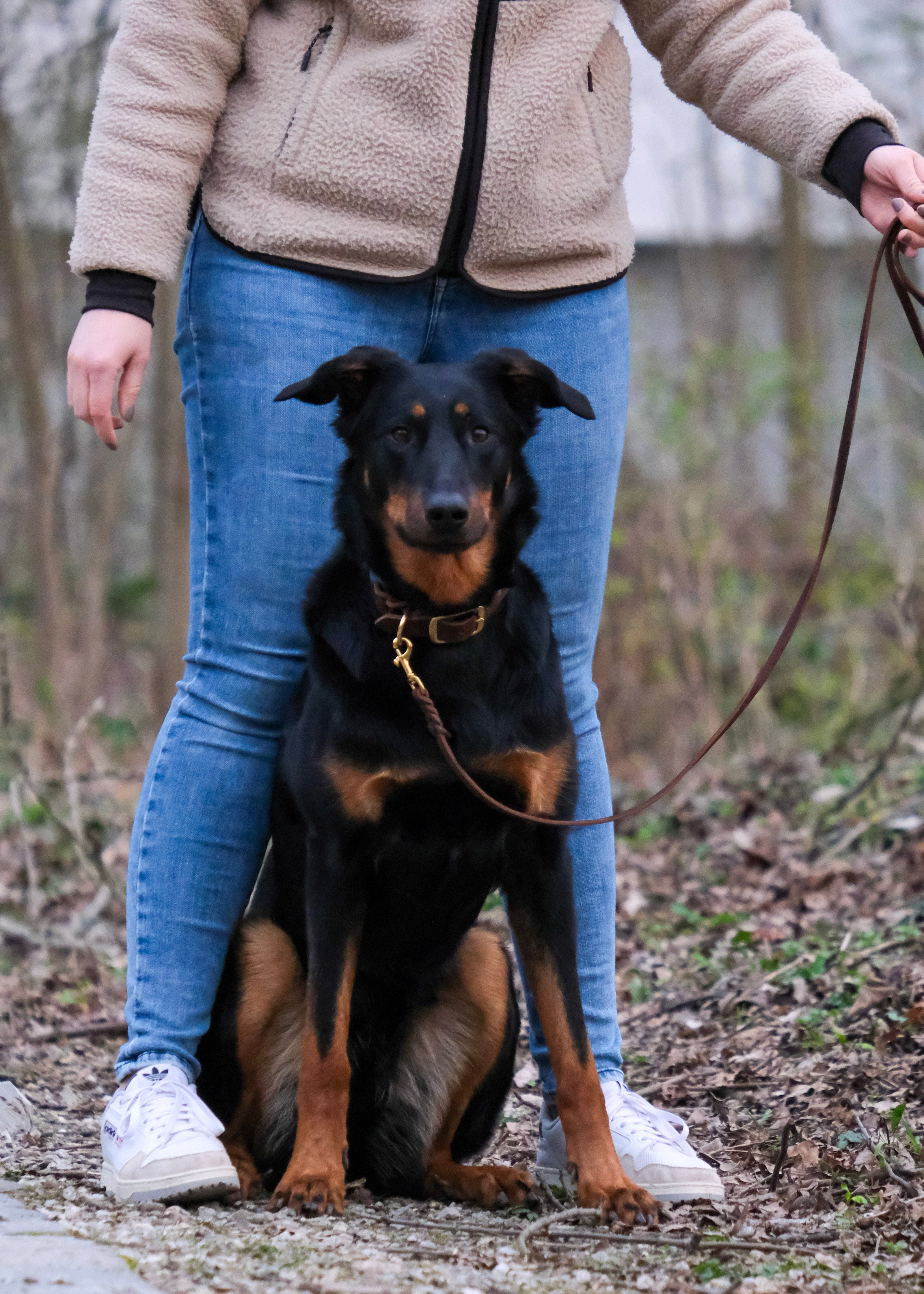 Zufriedene Hundebesitzerin mit Hund, beide mit Leine und Halsband von THENSKI – Bewertung mit Foto erwünscht
