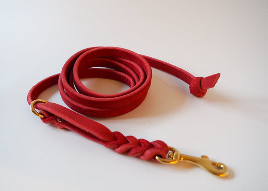 Fixierte Hundeleine aus einfarbigem Leder auf weißem Hintergrund – handgefertigt, robust und individuell anpassbar in Länge