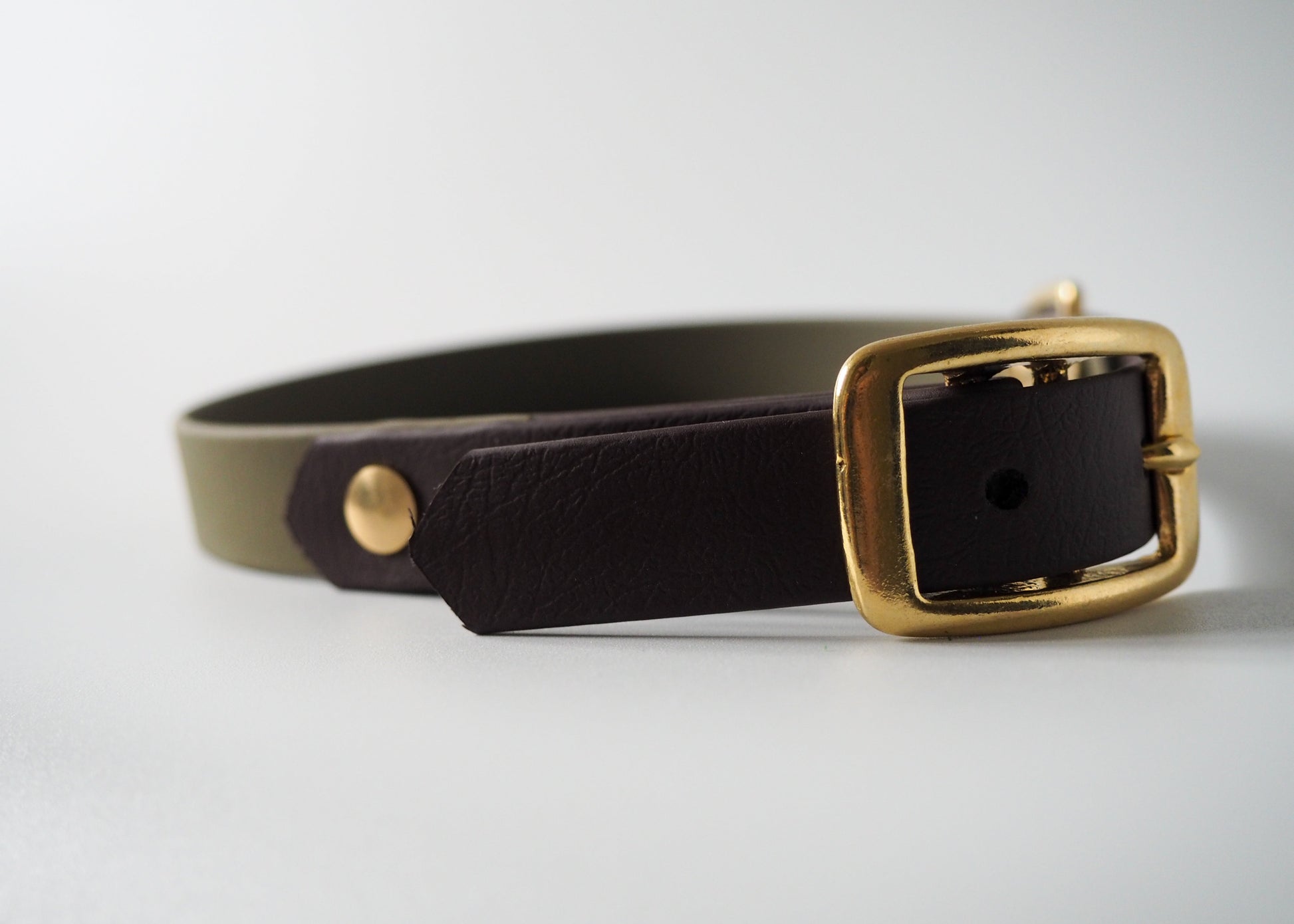 Zweifarbiges Halsband aus Biothane® mit Schnallenverschluss auf weißem Hintergrund – wasserfest, robust und individuell anpassbar