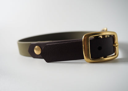 Zweifarbiges Halsband aus Biothane® mit Schnallenverschluss auf weißem Hintergrund – wasserfest, robust und individuell anpassbar