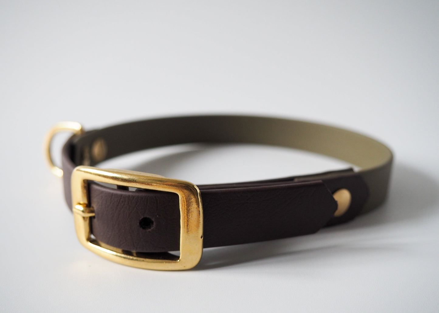 Zweifarbiges Halsband aus Biothane® mit Schnallenverschluss auf weißem Hintergrund – wasserfest, robust und individuell anpassbar