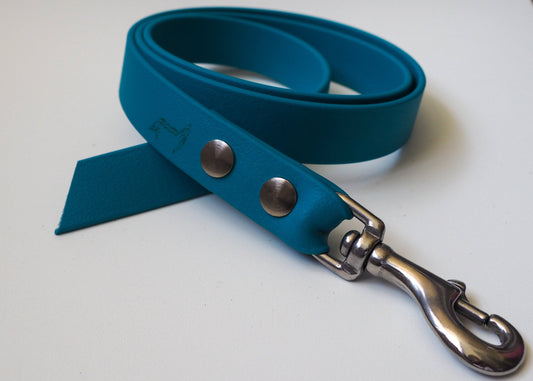 Einfarbige Führleine aus Biothane® auf weißem Hintergrund – wetterfest, robust und handgefertigt für Hunde jeder Größe