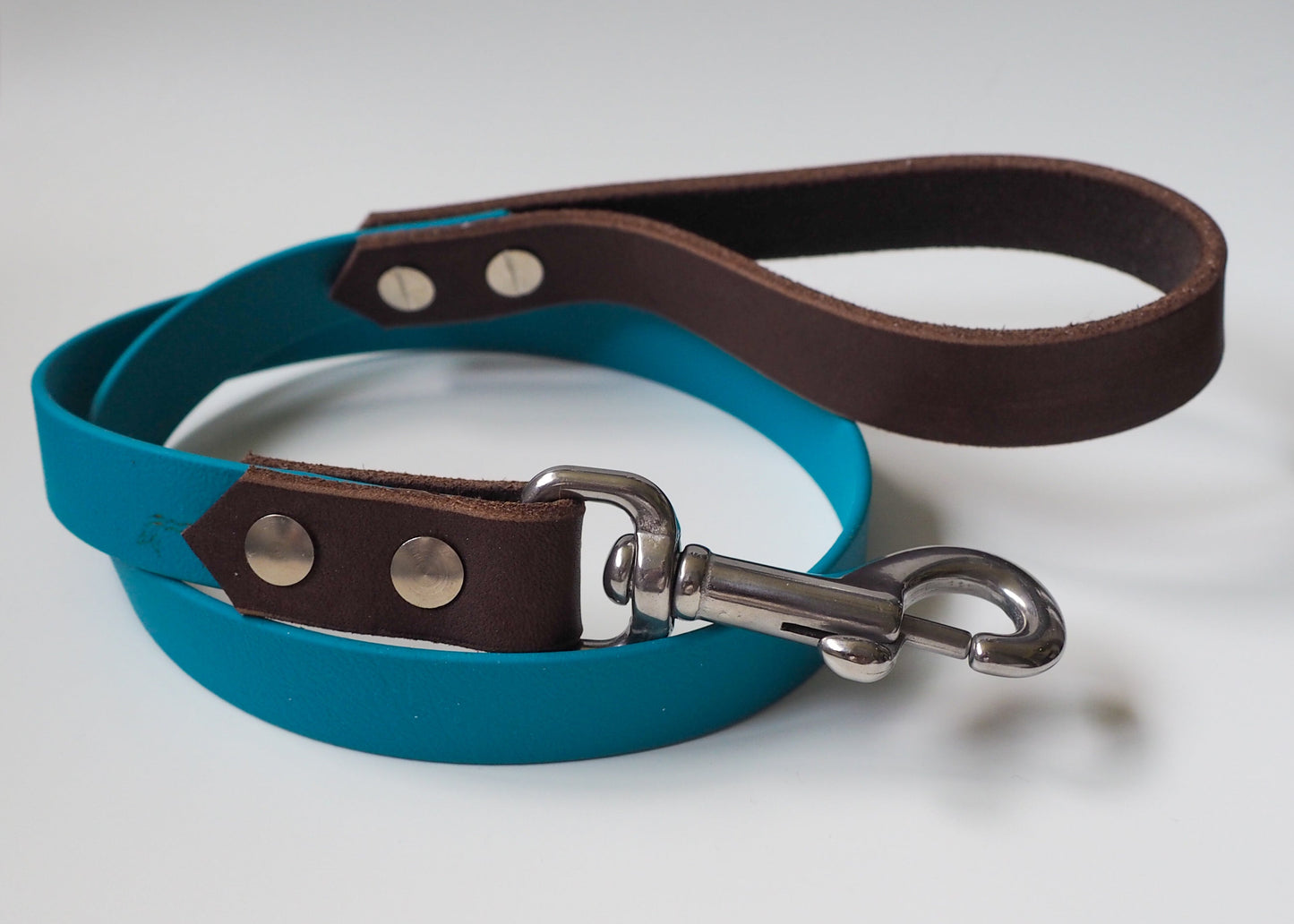 Zweifarbige Führleine aus Biothane® mit Leder-Handschlaufe – wasserfest, robust und elegant kombiniert für aktive Hunde