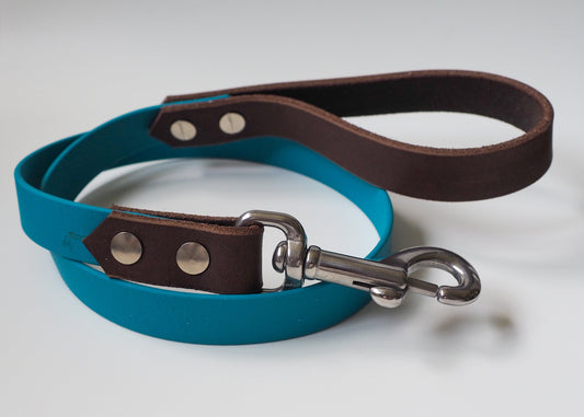 Zweifarbige Führleine aus Biothane® mit Leder-Handschlaufe – wasserfest, robust und elegant kombiniert für aktive Hunde