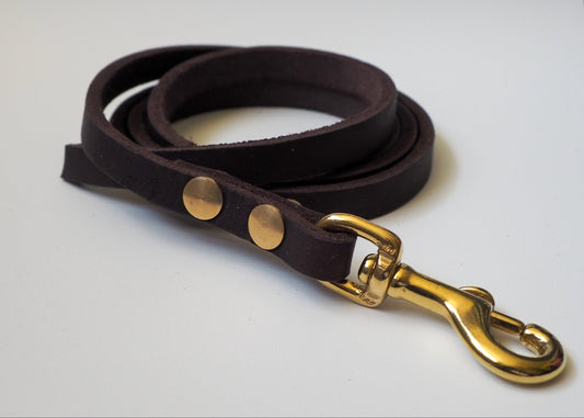 Führleine aus einfarbigem Leder auf weißem Hintergrund – handgefertigt, robust und stilvoll für Hunde aller Rassen
