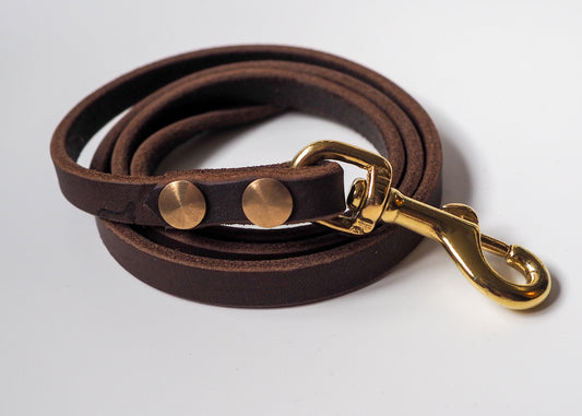 Führleine aus zweifarbigem Leder – edel verarbeitet, robust und individuell anpassbar für Hunde aller Rassen