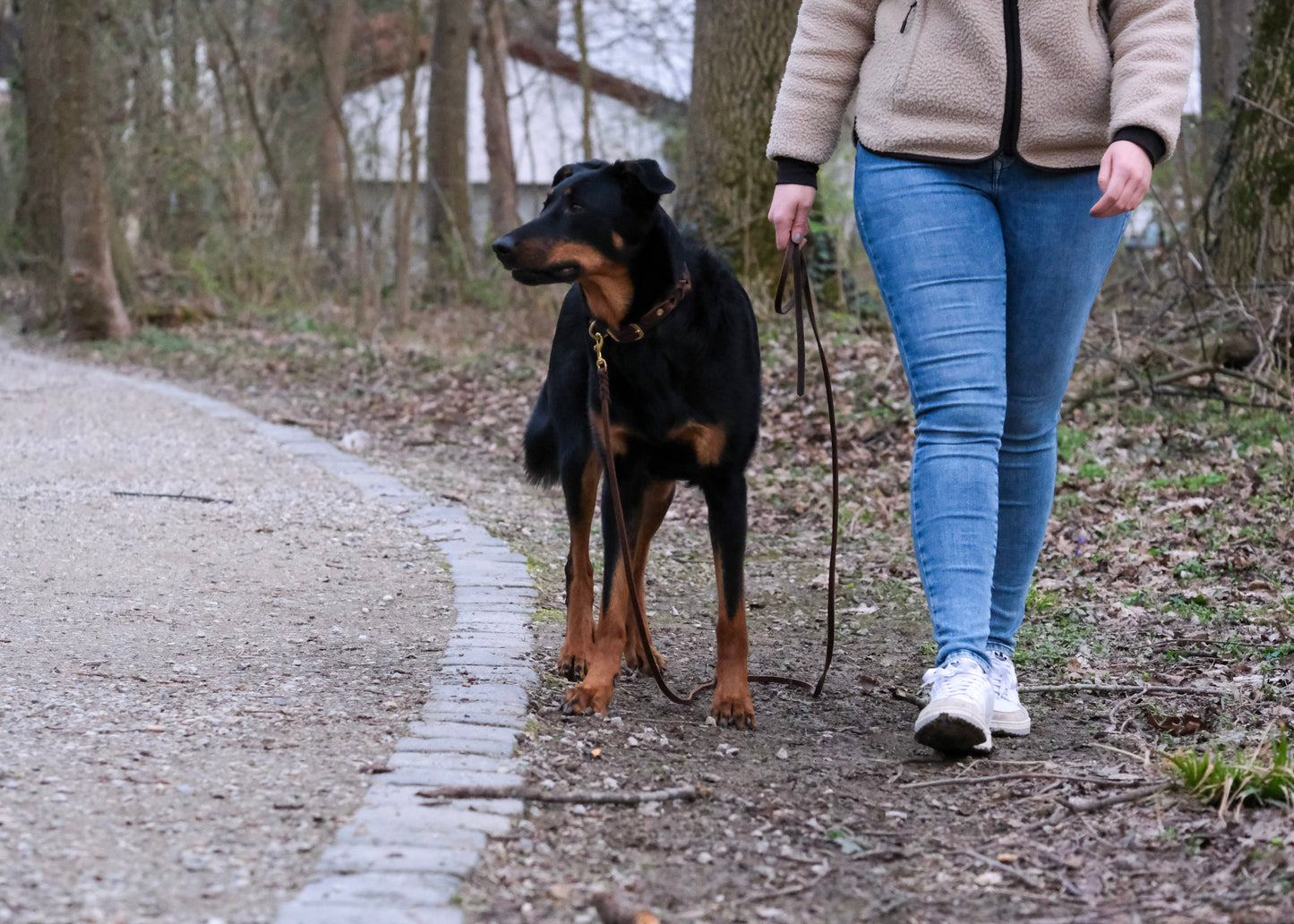 Hund an einfarbiger, geflochtener Leder-Schleppleine – viel Bewegungsfreiheit bei sicherer Kontrolle