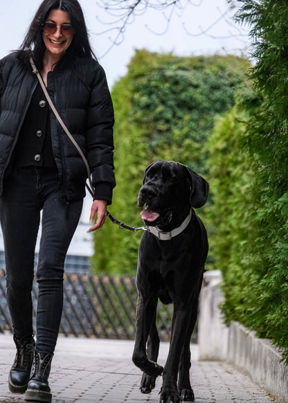 Detail der Flechtung und Verstellmöglichkeit der zweifarbigen Lederleine – hochwertige Materialien & präzise Verarbeitung