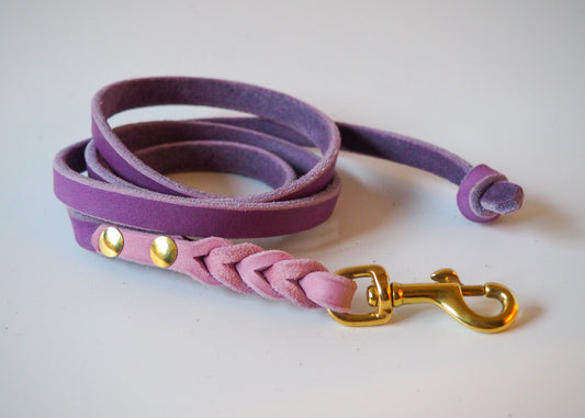 Geflochtene Führleine aus zweifarbigem Leder auf weißem Hintergrund – handgefertigte Hundeleine mit farbigem Flechtdesign