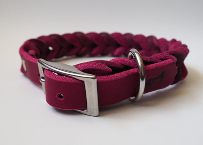 Geflochtenes Hundehalsband aus zweifarbigem Leder mit Schnallenverschluss auf weißem Hintergrund – handgefertigt, individuell & robust