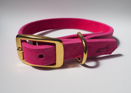 Einfarbiges Hundehalsband mit Schnallenverschluss aus Leder auf weißem Hintergrund – handgefertigt, robust & zeitlos