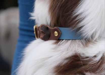 Detailansicht des Übergangs zwischen Biothane® und Leder mit Schnallenverschluss – handwerklich verarbeitet und langlebig