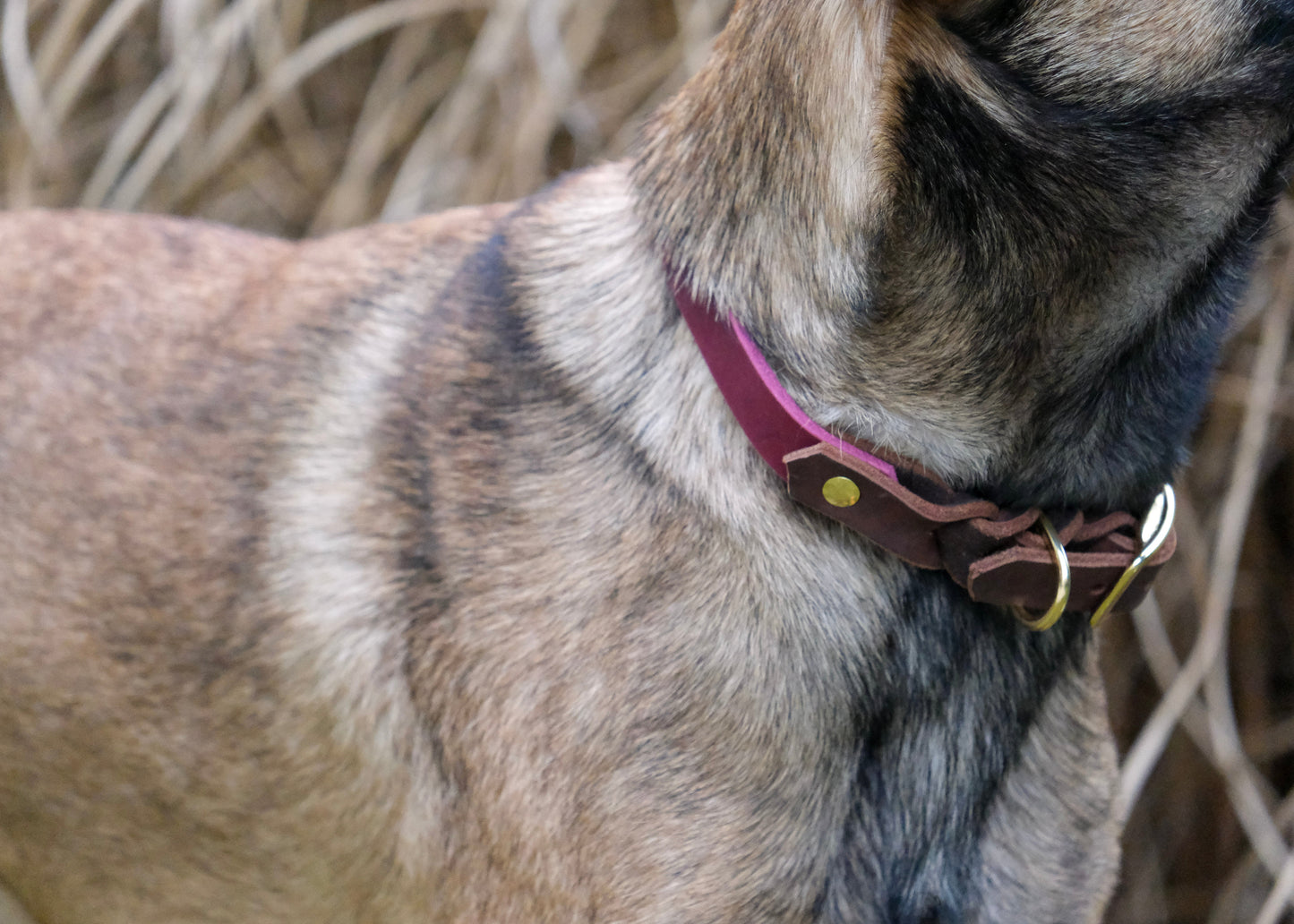 Detailaufnahme der Lederkombination mit Schnalle – hochwertig verarbeitet, kontrastreiches Design