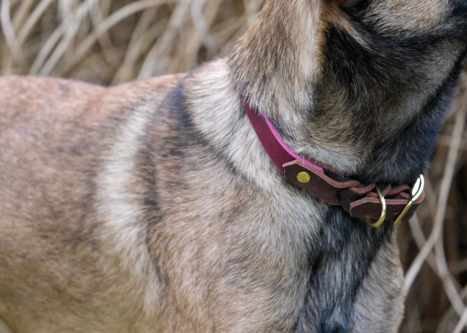 Detailaufnahme der Lederkombination mit Schnalle – hochwertig verarbeitet, kontrastreiches Design