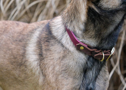 Detailaufnahme der Lederkombination mit Schnalle – hochwertig verarbeitet, kontrastreiches Design