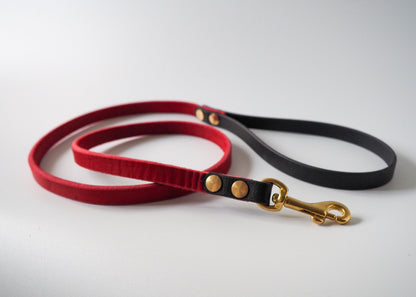 Zweifarbige Führleine aus Leder mit Handschlaufe aus Biothane® – robust, elegant und wetterbeständig