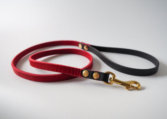 Zweifarbige Führleine aus Leder mit Handschlaufe aus Biothane® – robust, elegant und wetterbeständig