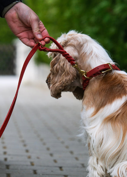 Fix-Leine aus Leder (einfarbig)