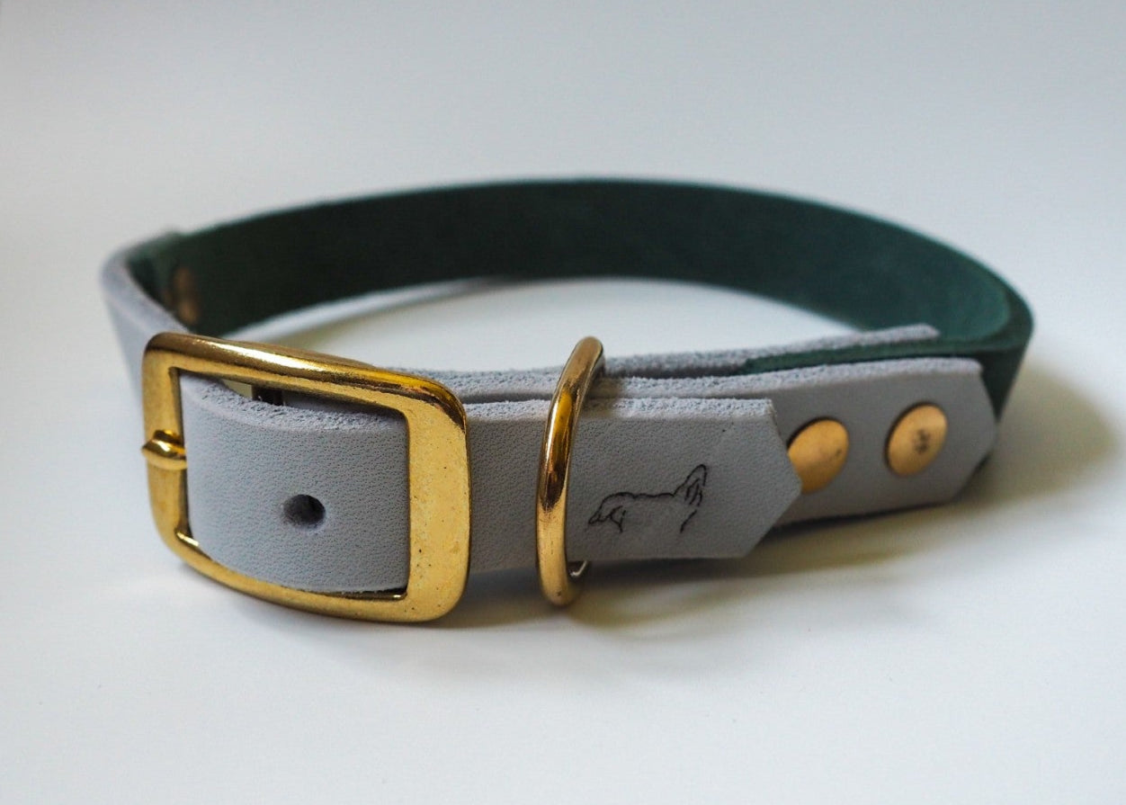 Halsband mit Schnallenverschluss aus zweifarbigem Leder auf weißem Hintergrund – robust, elegant & handgefertigt für Hunde
