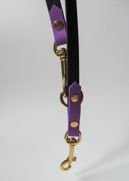 Verstellbare Leine aus zweifarbiger Biothane® – wasserfest, flexibel und individuell einstellbar für verschiedene Führlängen