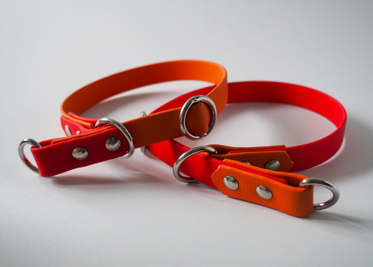 Verstellbares Zugstop Halsband aus zweifarbiger Biothane® auf weißem Hintergrund – robust, pflegeleicht & individuell anpassbar