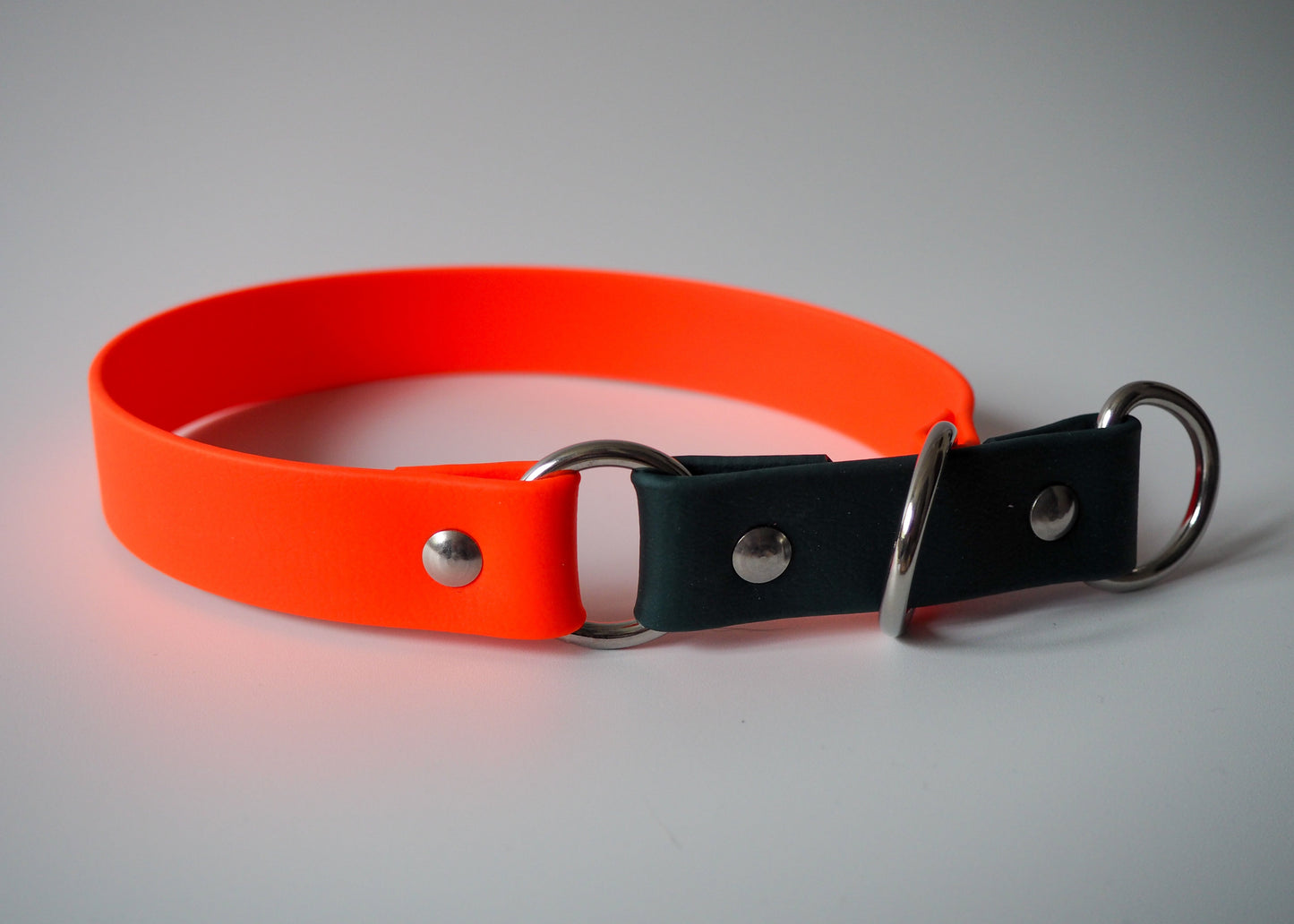 Zugstop Halsband aus zweifarbiger Biothane® auf weißem Hintergrund – handgefertigt, langlebig und individuell anpassbar