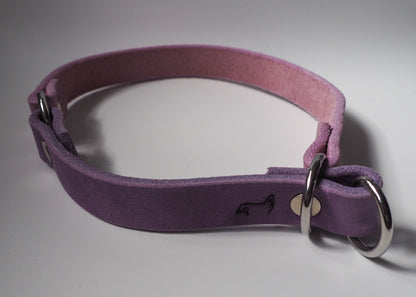 Zugstop Halsband aus zweifarbigem Leder auf weißem Hintergrund – robust, handgefertigt und verstellbar für jeden Hund